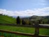 dsc06710_small.jpg