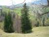 dsc06717_small.jpg