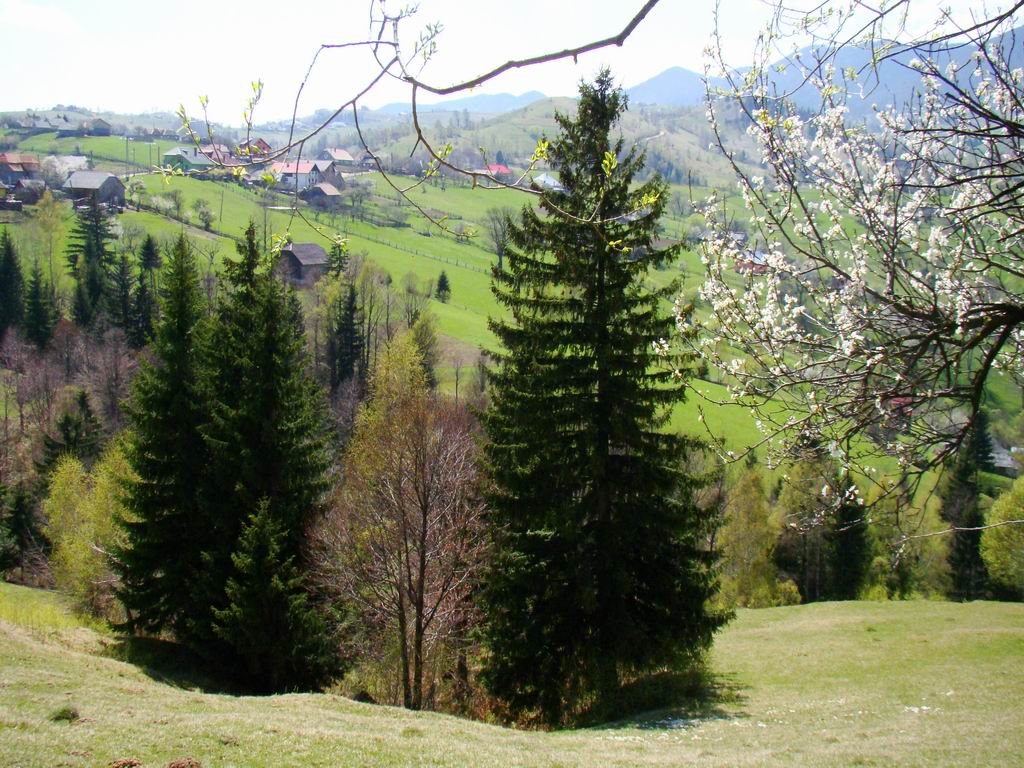 dsc06718.jpg