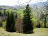 dsc06718_small.jpg