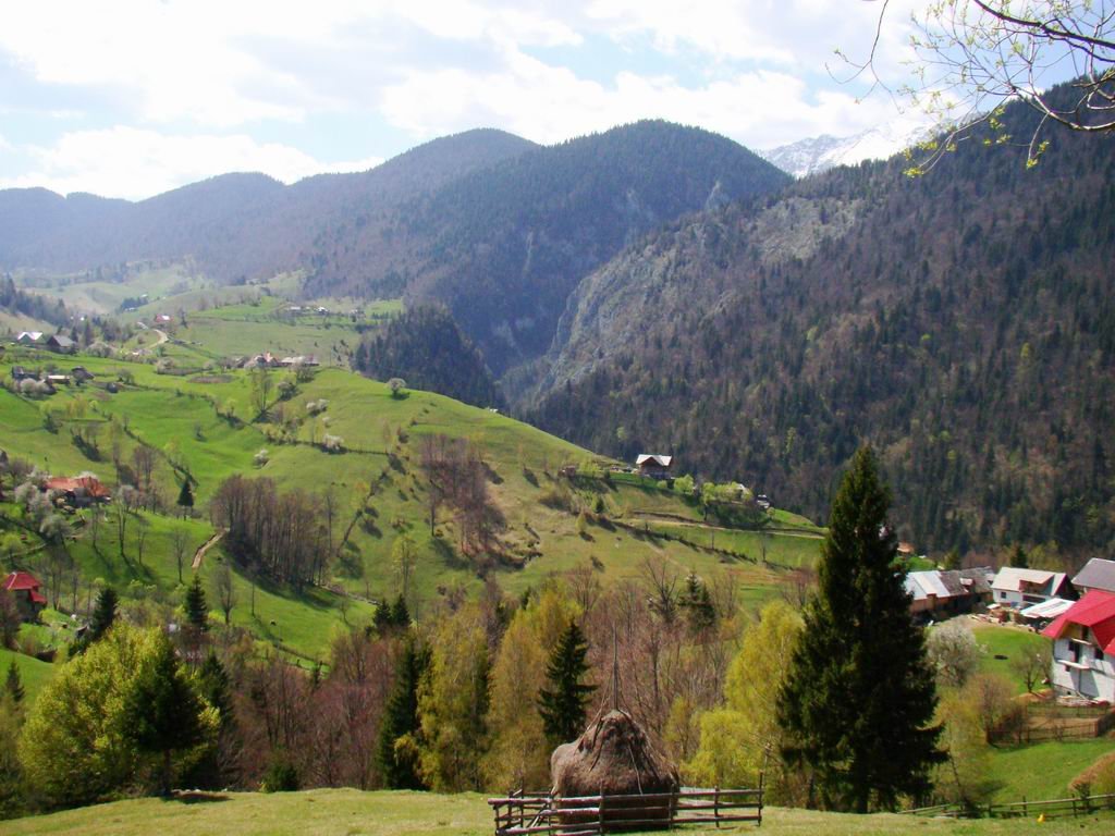 dsc06720.jpg