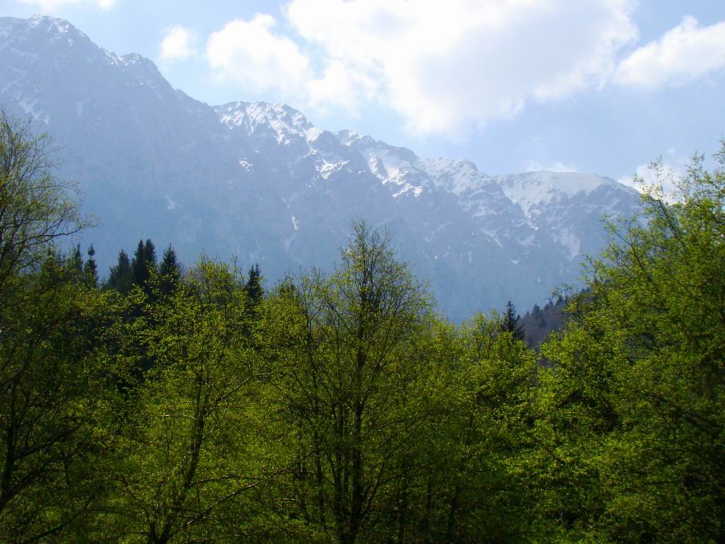dsc06774.jpg