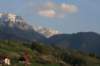 img_4865_small.jpg