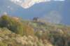 img_4866_small.jpg