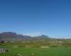 p1000108_small.jpg