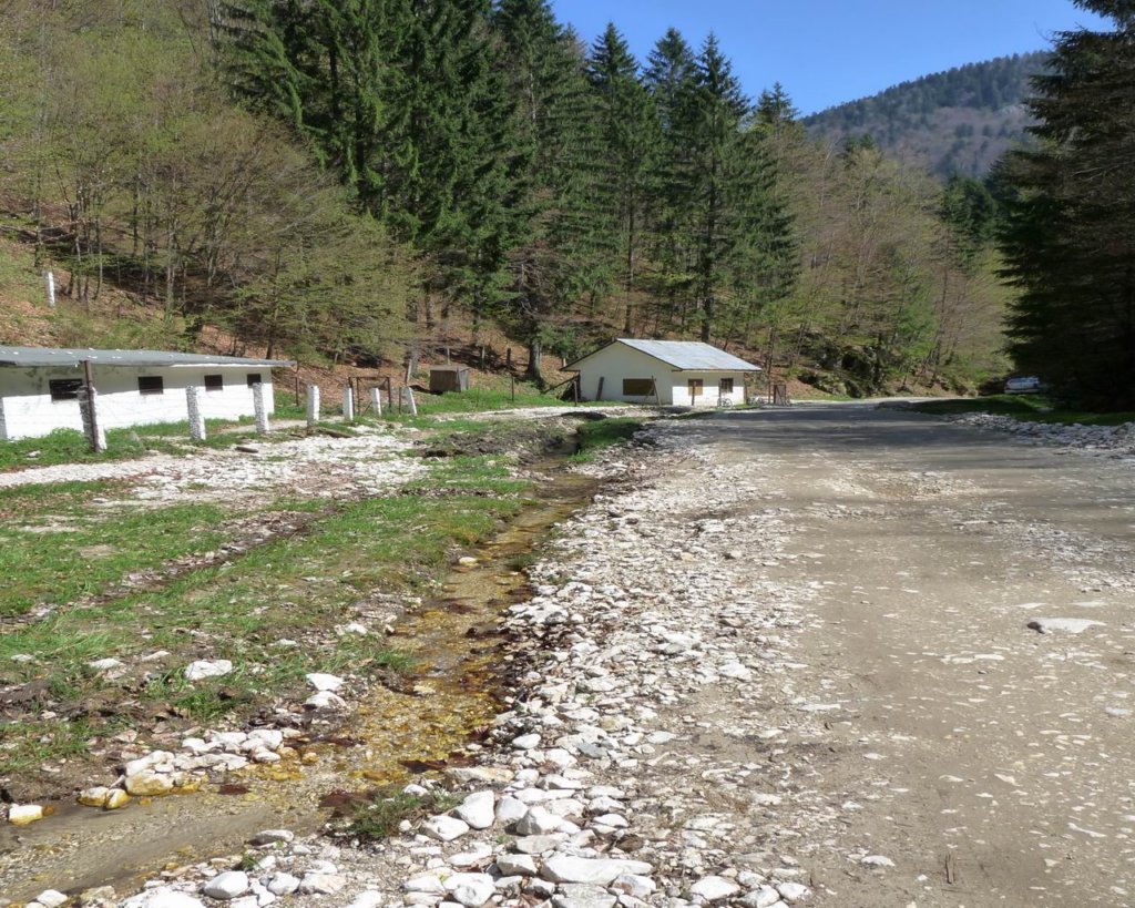 p1000120.jpg
