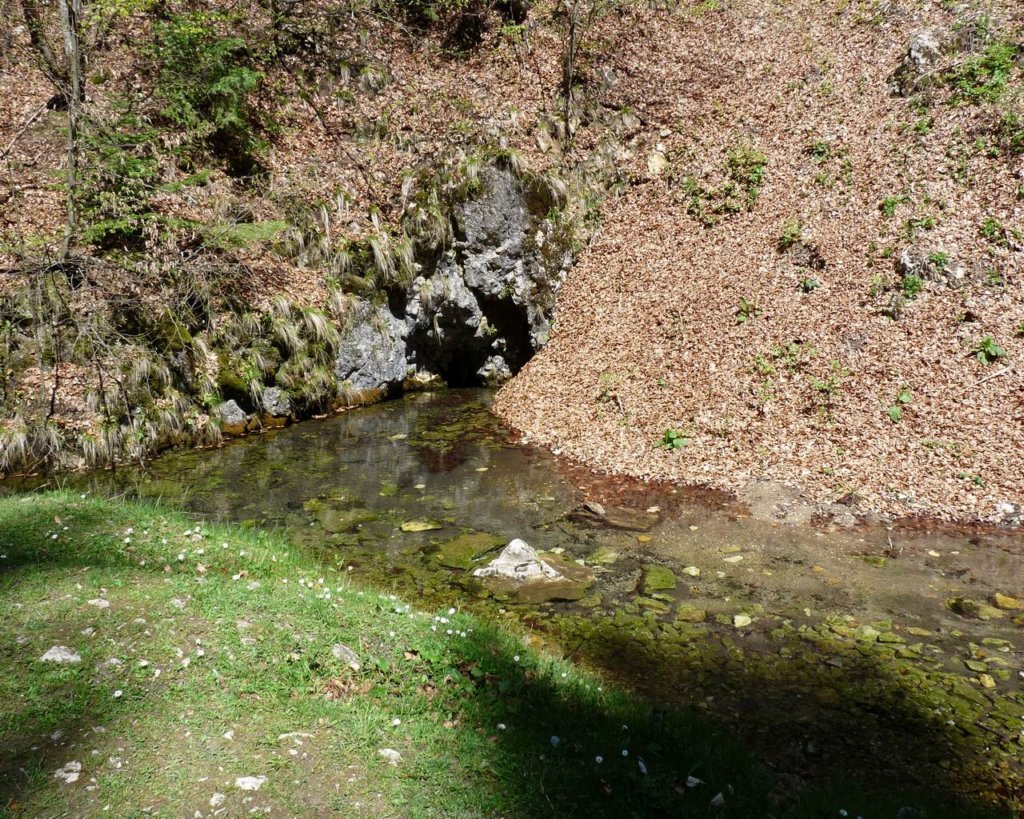 p1000122.jpg