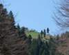 p1000124_small.jpg