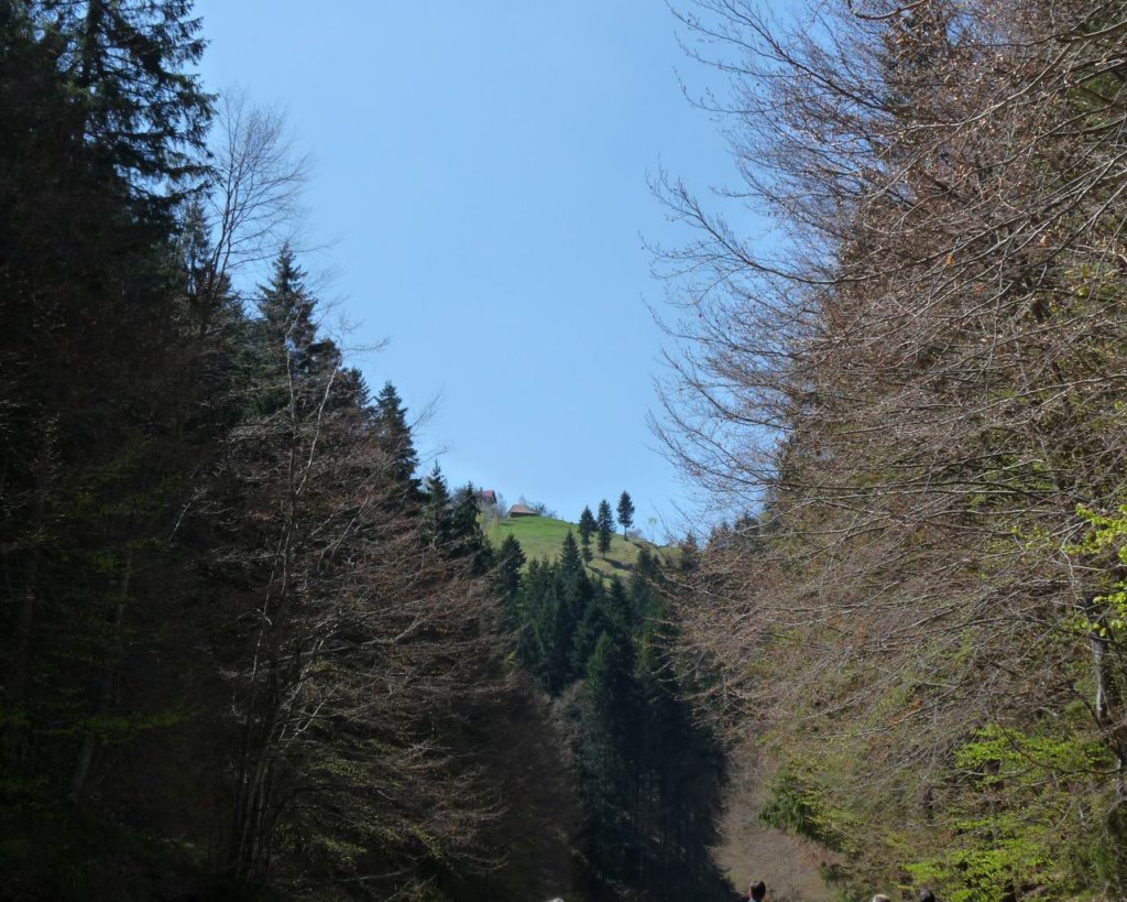 p1000125.jpg