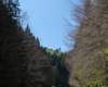 p1000125_small.jpg