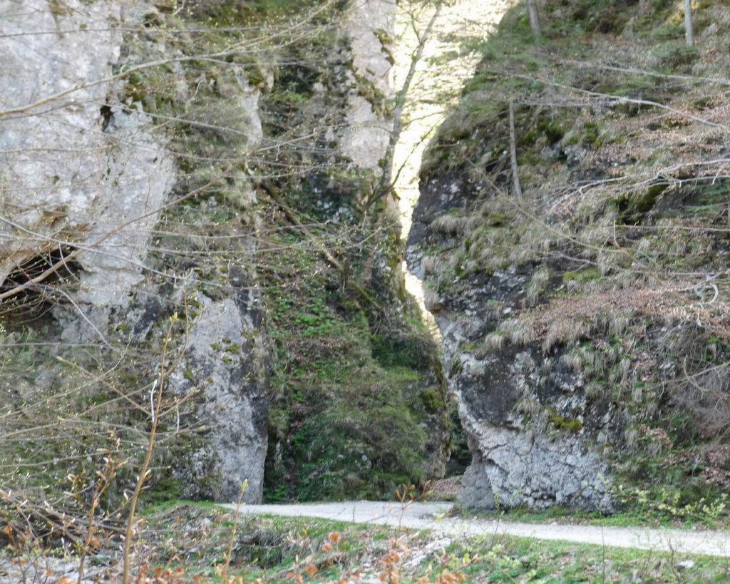p1000129.jpg