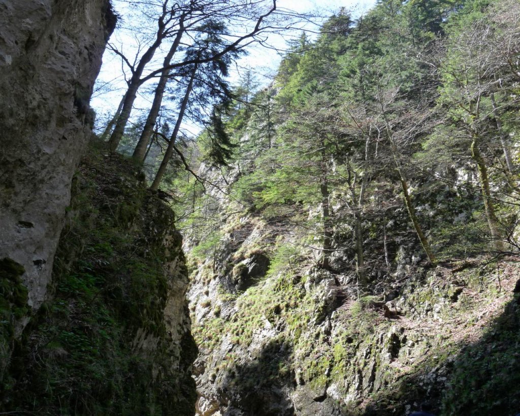 p1000135.jpg