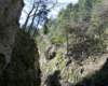 p1000135_small.jpg