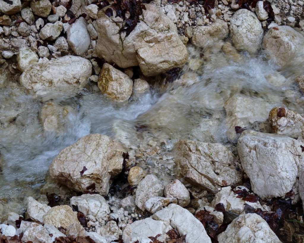 p1000136.jpg