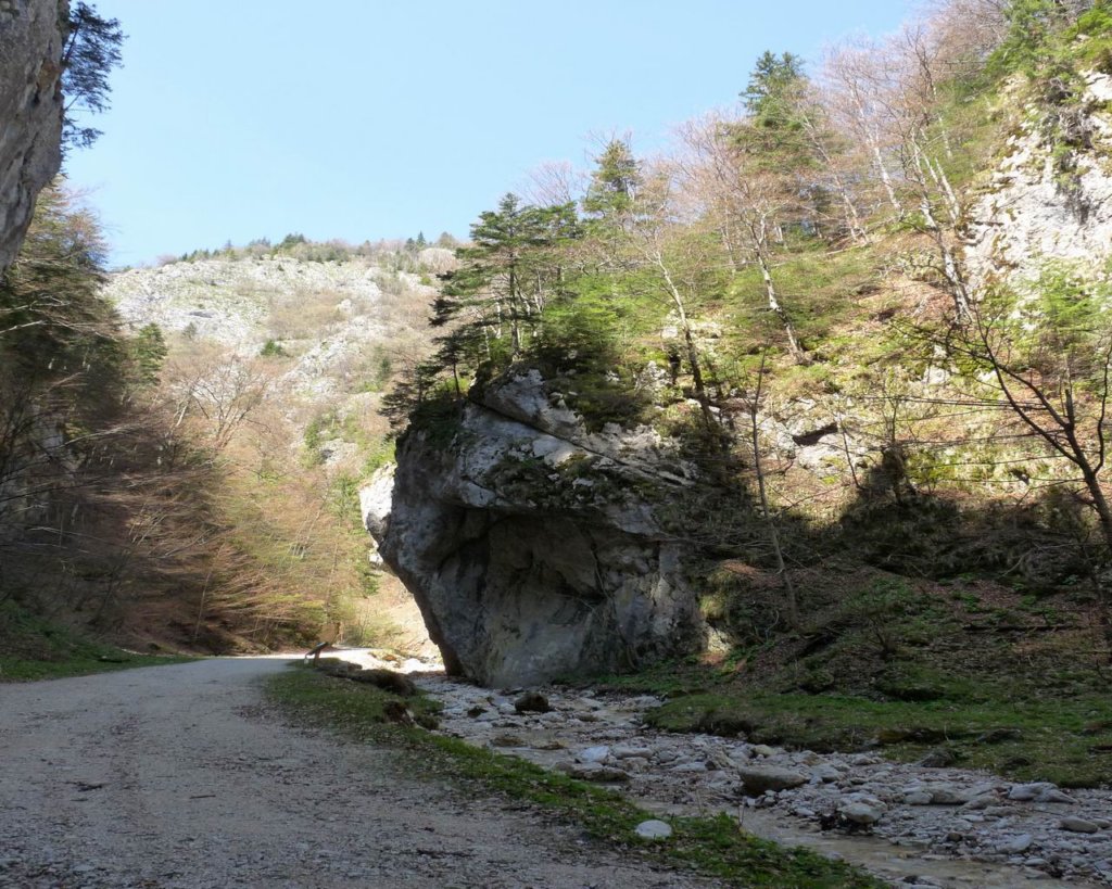 p1000143.jpg