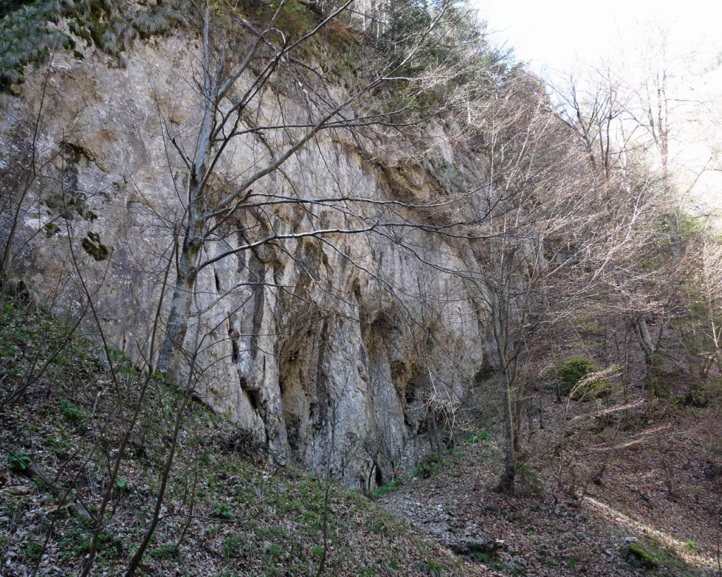 p1000145.jpg
