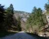 p1000154_small.jpg