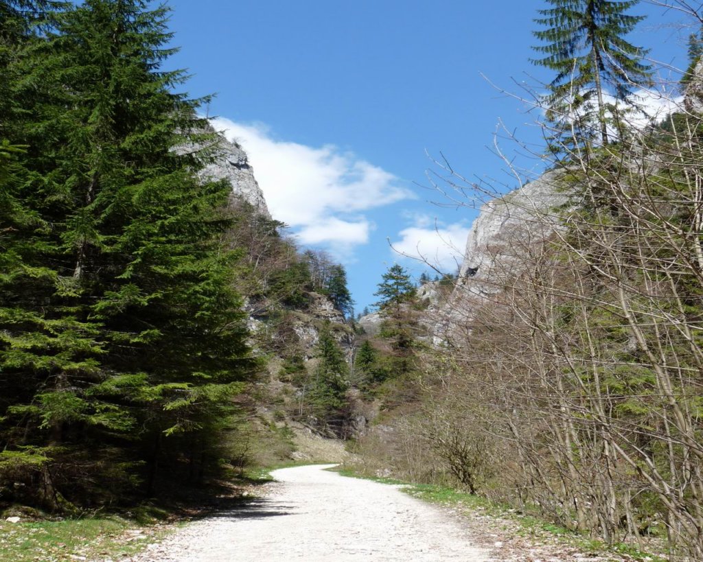 p1000157.jpg