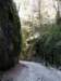 p1000162_small.jpg