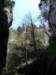 p1000164_small.jpg