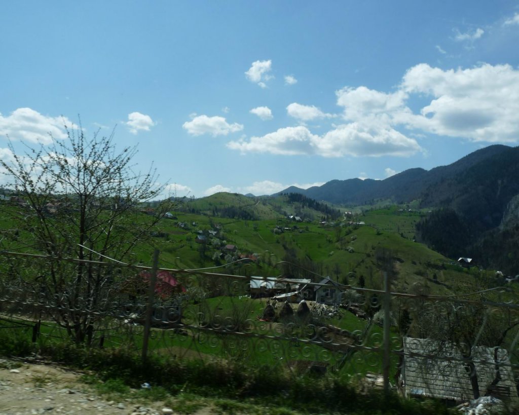 p1000169.jpg
