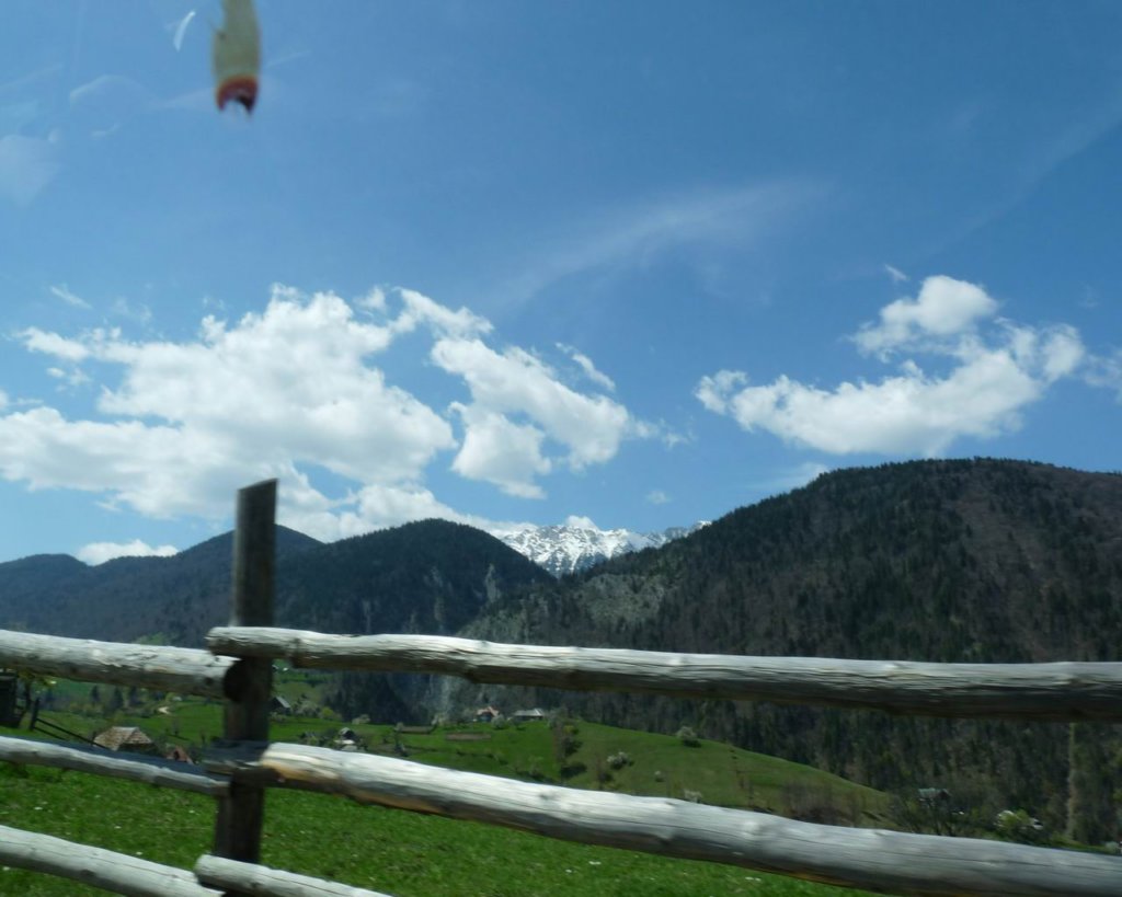 p1000174.jpg