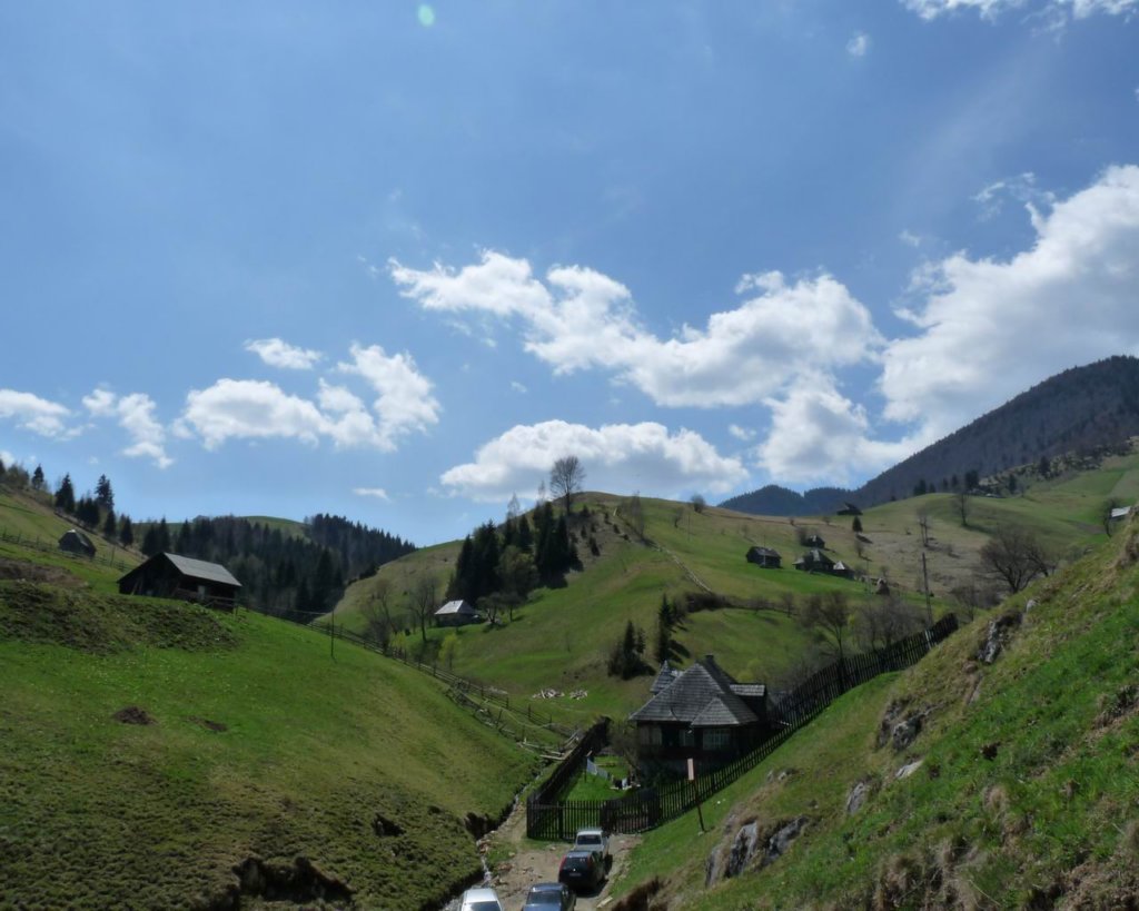 p1000182.jpg