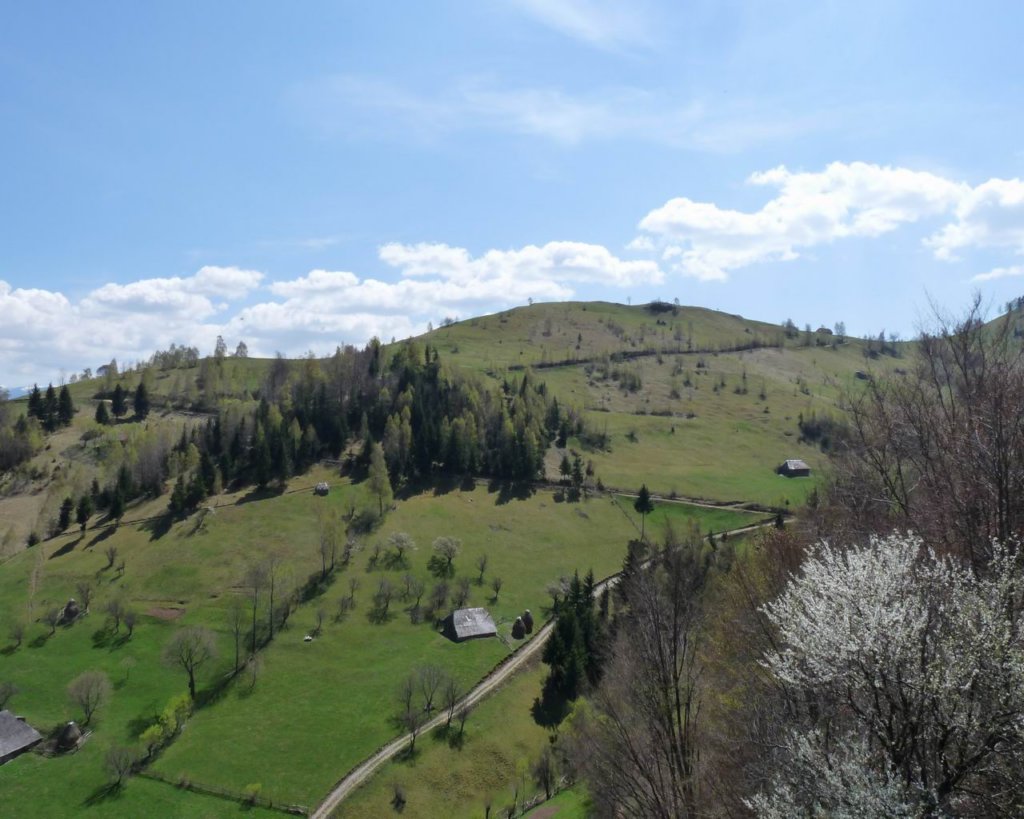 p1000198.jpg
