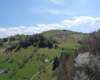 p1000198_small.jpg