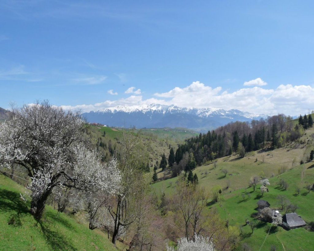 p1000200.jpg