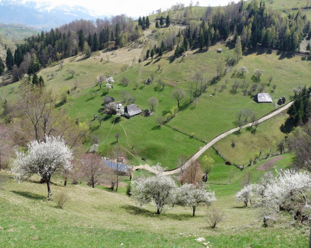 p1000203.jpg