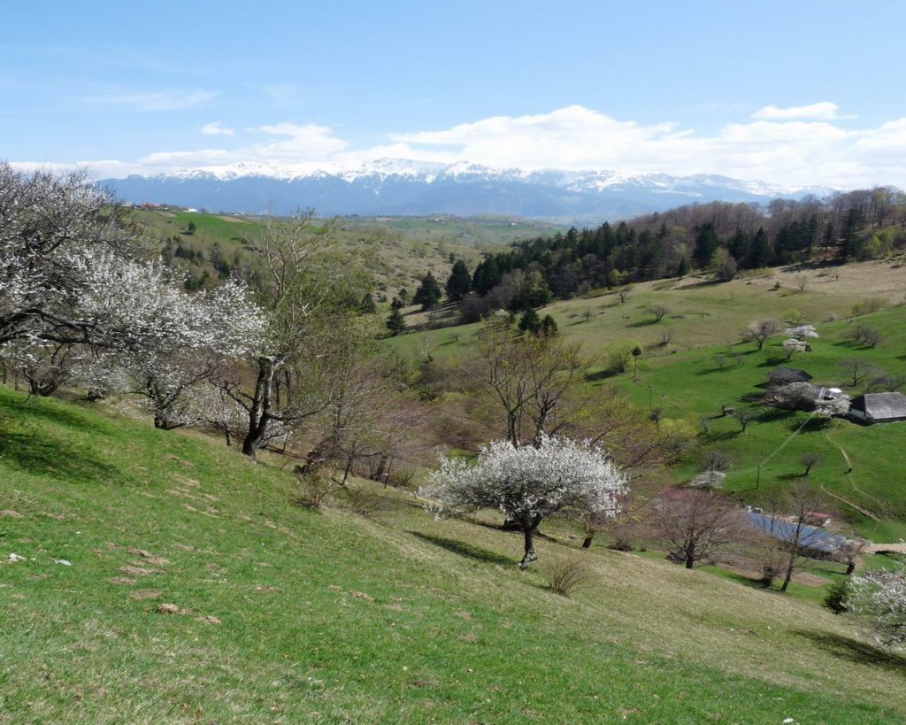 p1000205.jpg