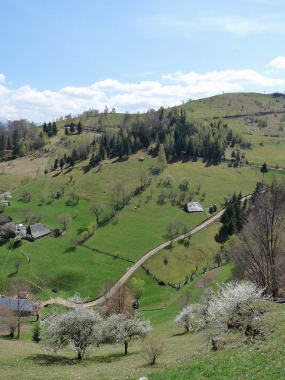 p1000207.jpg
