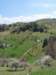 p1000207_small.jpg