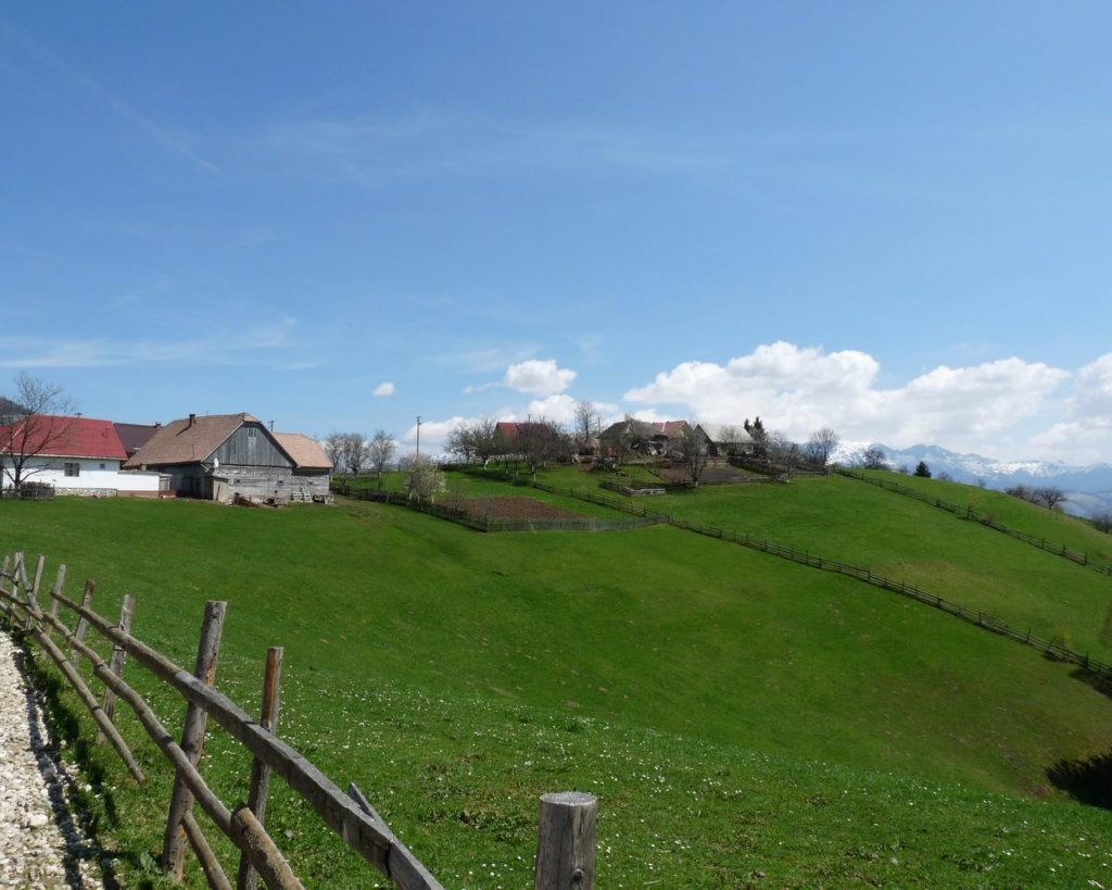 p1000209.jpg