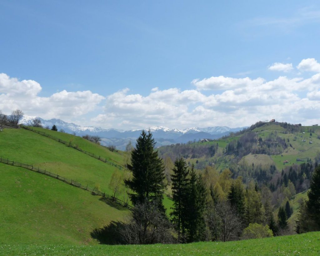 p1000210.jpg