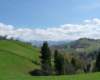 p1000210_small.jpg