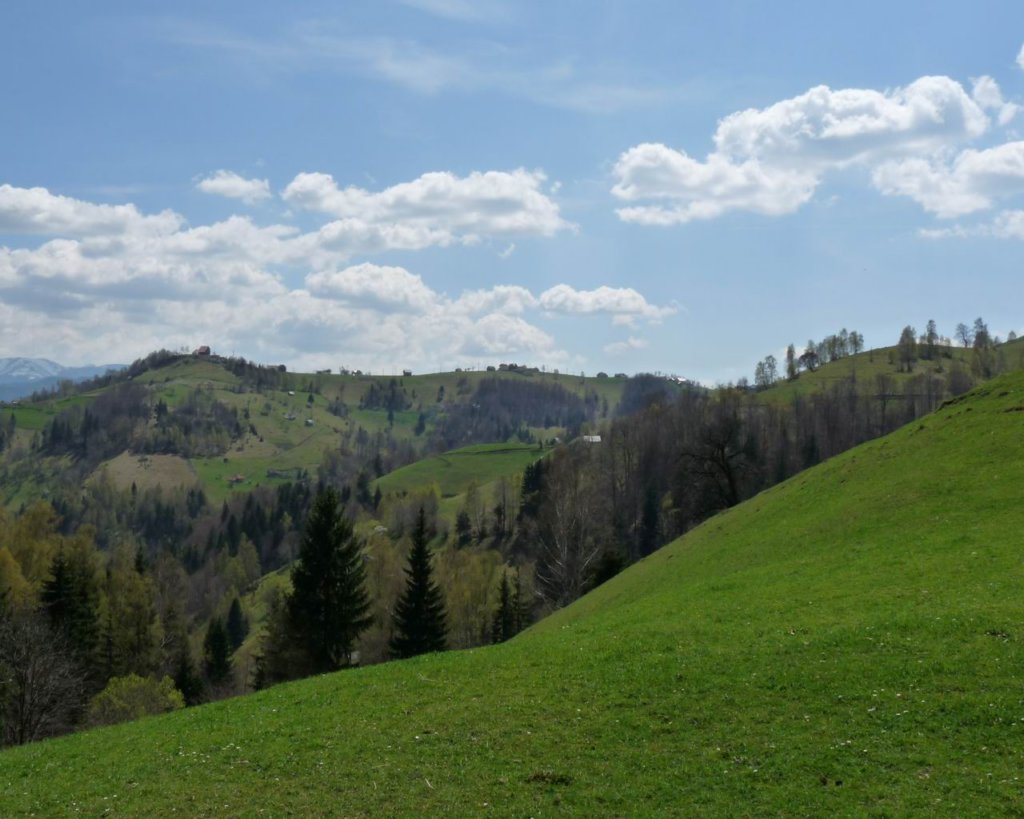 p1000211.jpg