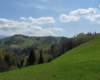 p1000211_small.jpg