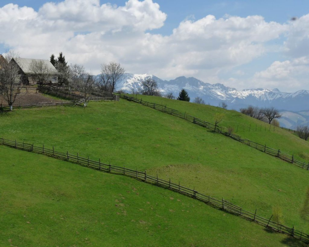 p1000215.jpg