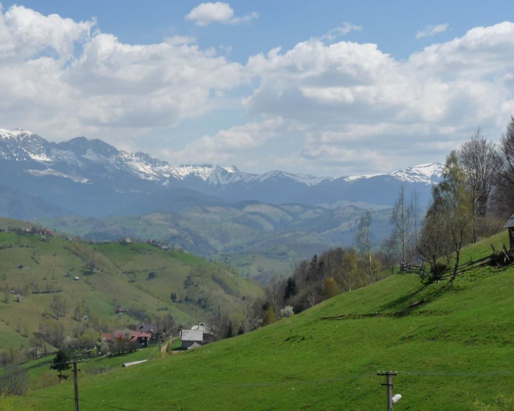 p1000216.jpg