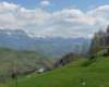 p1000216_small.jpg