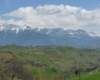 p1000217_small.jpg