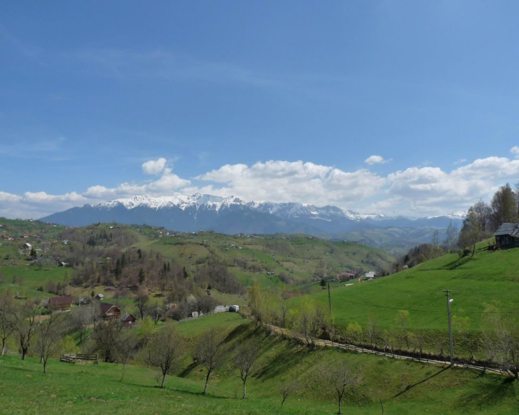 p1000218.jpg