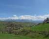 p1000218_small.jpg