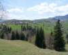 p1000221_small.jpg