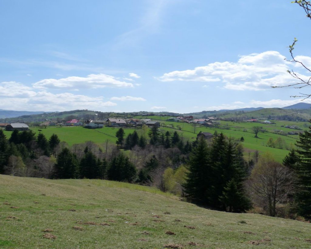p1000222.jpg
