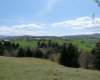 p1000222_small.jpg