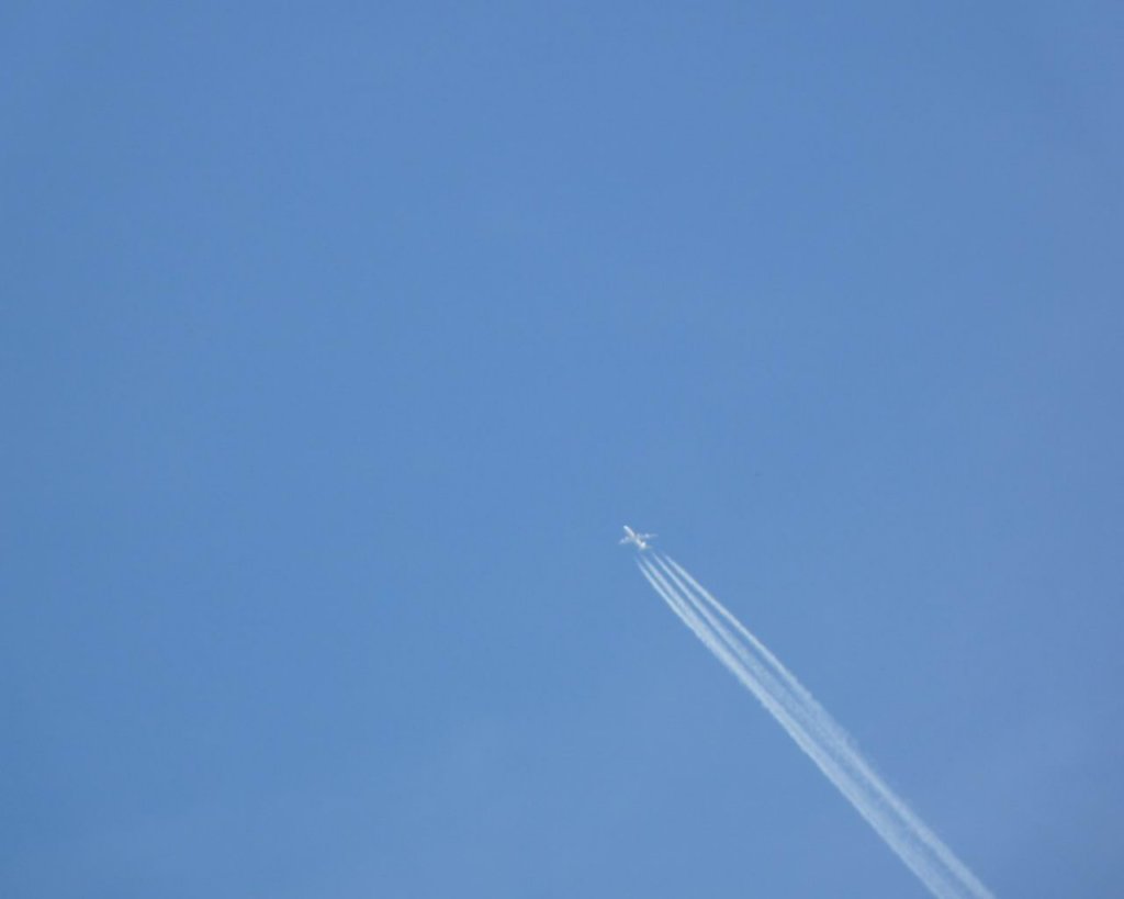 p1000224.jpg