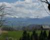 p1000227_small.jpg